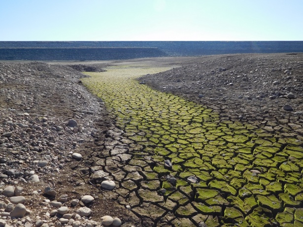 Drought at Folsom Lake, California, 2015. Photo: Vince Mi